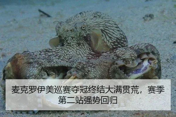 麦克罗伊美巡赛夺冠终结大满贯荒，赛季第二站强势回归