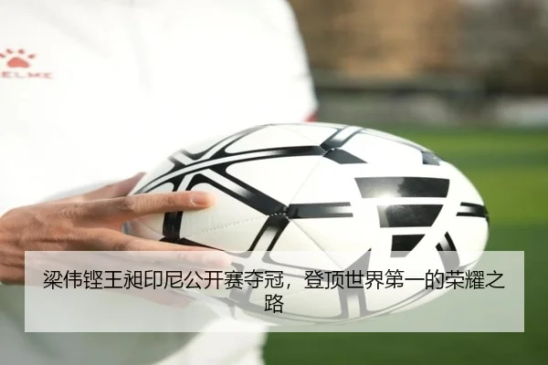 梁伟铿王昶印尼公开赛夺冠，登顶世界第一的荣耀之路