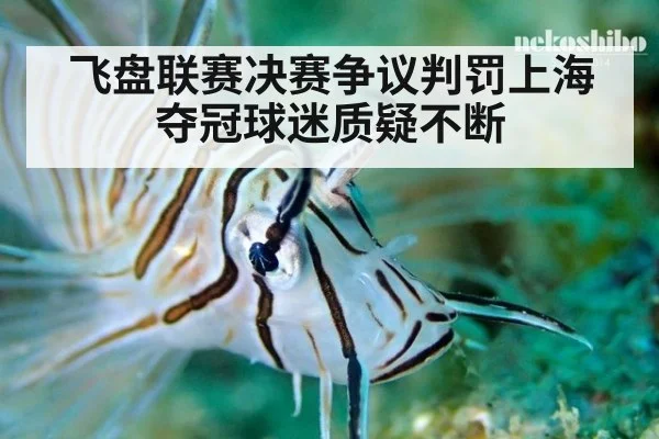 飞盘联赛决赛争议判罚上海夺冠球迷质疑不断